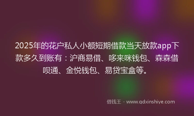 2025年的花户私人小额短期借款当天放款app下款多久到账有：沪商易借、哆来咪钱包、森森借呗通、金悦钱包、易贷宝盒等。