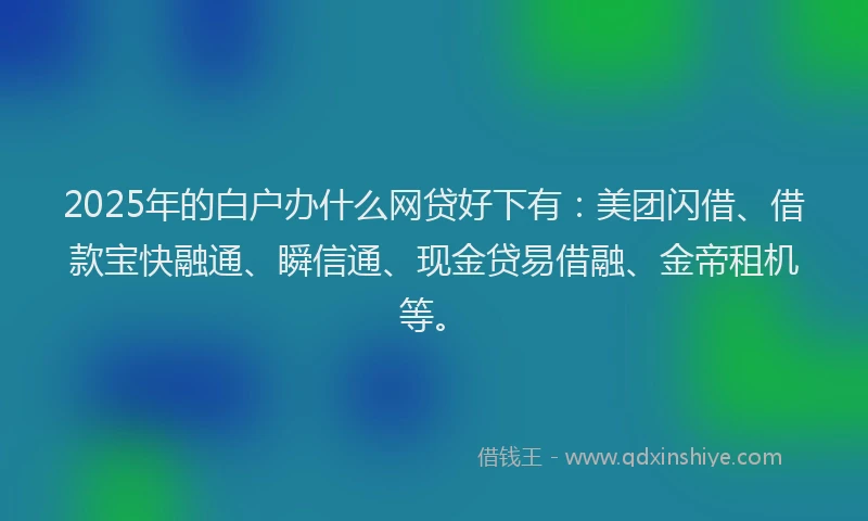 2025年的白户办什么网贷好下有：美团闪借、借款宝快融通、瞬信通、现金贷易借融、金帝租机等。