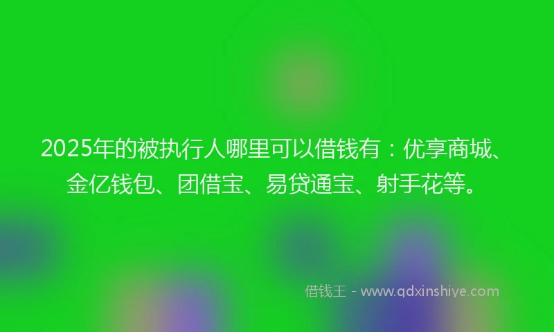 2025年的被执行人哪里可以借钱有：优享商城、金亿钱包、团借宝、易贷通宝、射手花等。