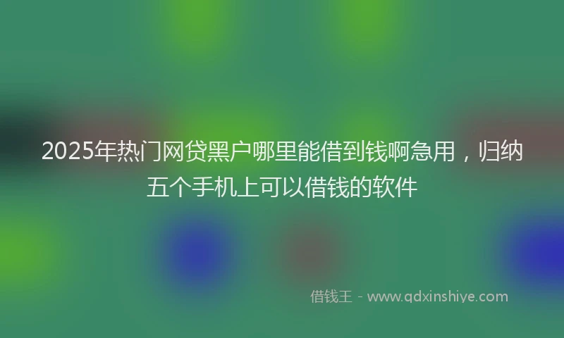 2025年热门网贷黑户哪里能借到钱啊急用，归纳五个手机上可以借钱的软件