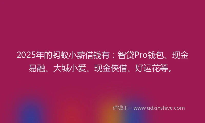 2025年的蚂蚁小薪借钱有：智贷Pro钱包、现金易融、大城小爱、现金侠借、好运花等。