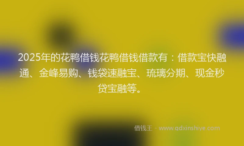 2025年的花鸭借钱花鸭借钱借款有：借款宝快融通、金峰易购、钱袋速融宝、琉璃分期、现金秒贷宝融等。