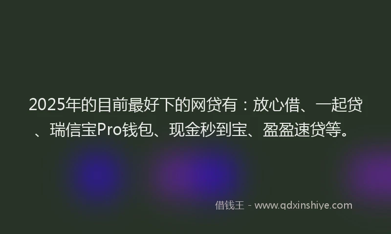 2025年的目前最好下的网贷有：放心借、一起贷、瑞信宝Pro钱包、现金秒到宝、盈盈速贷等。