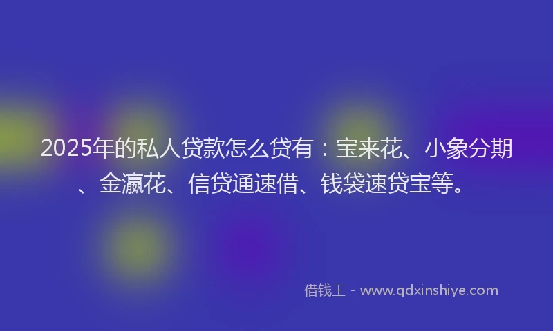 2025年的私人贷款怎么贷有：宝来花、小象分期、金瀛花、信贷通速借、钱袋速贷宝等。