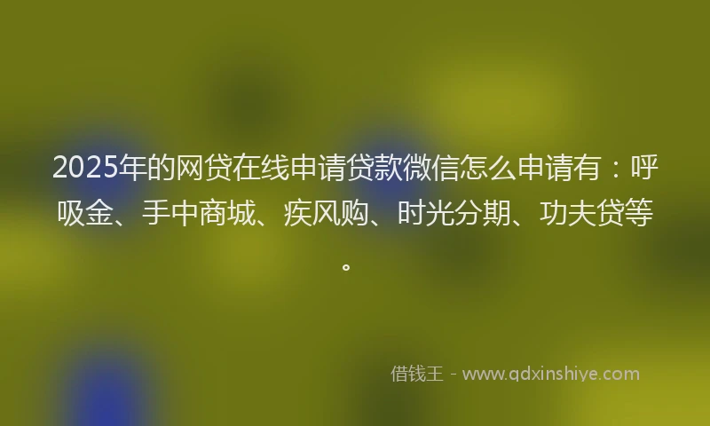 2025年的网贷在线申请贷款微信怎么申请有：呼吸金、手中商城、疾风购、时光分期、功夫贷等。