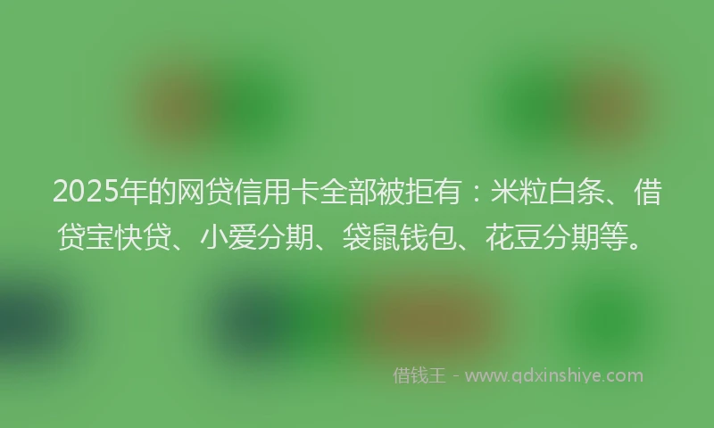 2025年的网贷信用卡全部被拒有：米粒白条、借贷宝快贷、小爱分期、袋鼠钱包、花豆分期等。