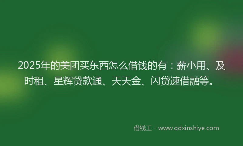 2025年的美团买东西怎么借钱的有：薪小用、及时租、星辉贷款通、天天金、闪贷速借融等。