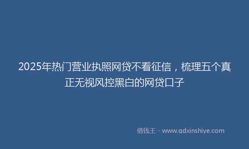 2025年热门营业执照网贷不看征信，梳理五个真正无视风控黑白的网贷口子