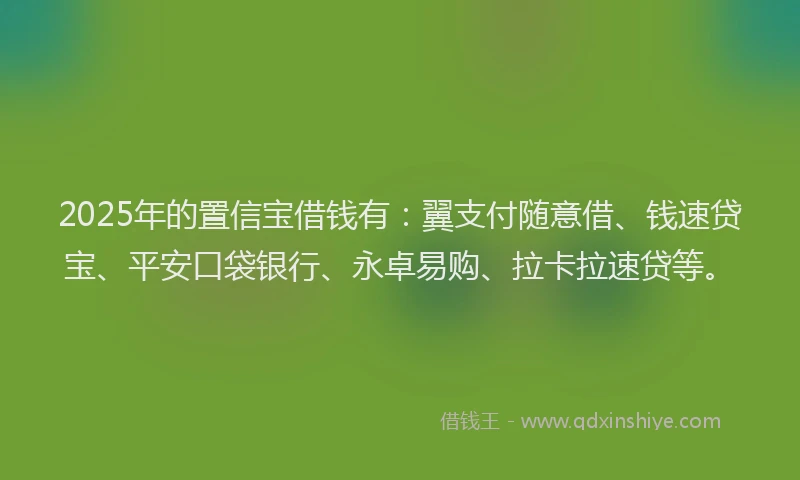 2025年的置信宝借钱有：翼支付随意借、钱速贷宝、平安口袋银行、永卓易购、拉卡拉速贷等。