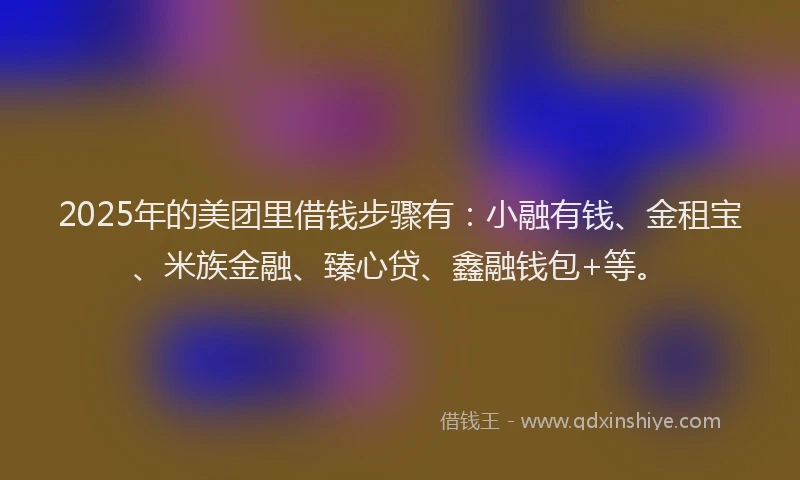 2025年的美团里借钱步骤有：小融有钱、金租宝、米族金融、臻心贷、鑫融钱包+等。