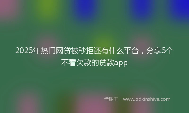 2025年热门网贷被秒拒还有什么平台，分享5个不看欠款的贷款app