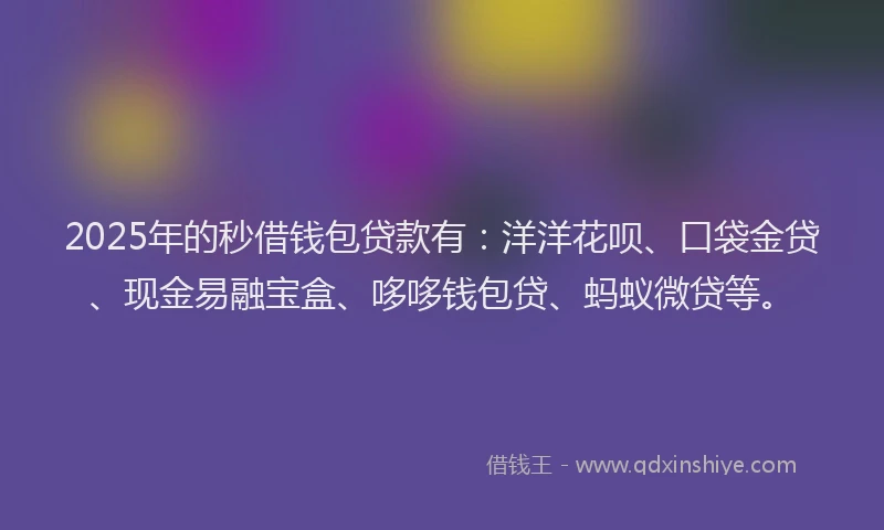 2025年的秒借钱包贷款有：洋洋花呗、口袋金贷、现金易融宝盒、哆哆钱包贷、蚂蚁微贷等。