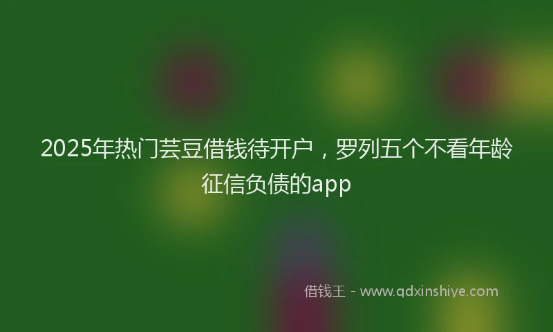 2025年热门芸豆借钱待开户，罗列五个不看年龄征信负债的app