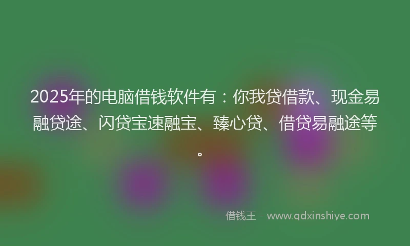 2025年的电脑借钱软件有：你我贷借款、现金易融贷途、闪贷宝速融宝、臻心贷、借贷易融途等。