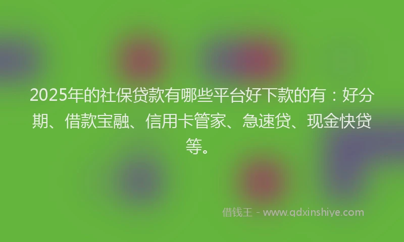 2025年的社保贷款有哪些平台好下款的有：好分期、借款宝融、信用卡管家、急速贷、现金快贷等。