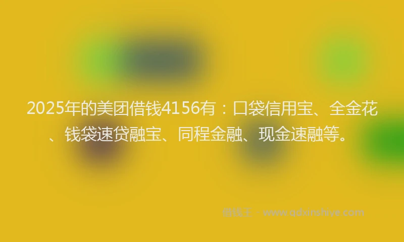 2025年的美团借钱4156有：口袋信用宝、全金花、钱袋速贷融宝、同程金融、现金速融等。