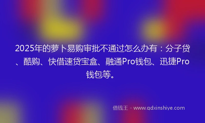 2025年的萝卜易购审批不通过怎么办有：分子贷、酷购、快借速贷宝盒、融通Pro钱包、迅捷Pro钱包等。