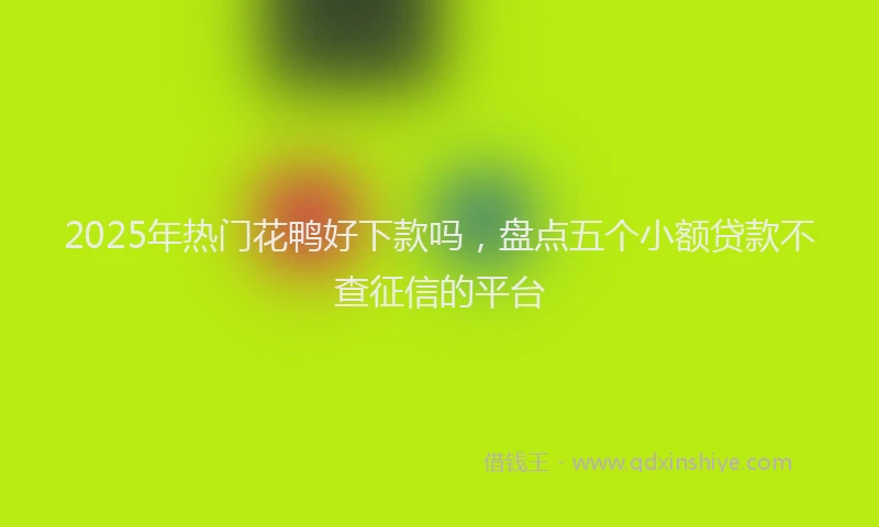 2025年热门花鸭好下款吗，盘点五个小额贷款不查征信的平台