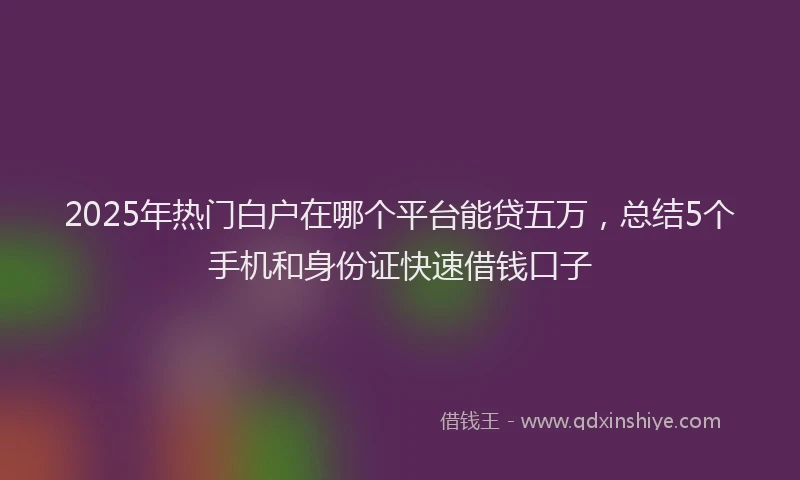2025年热门白户在哪个平台能贷五万，总结5个手机和身份证快速借钱口子