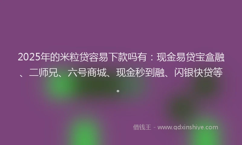2025年的米粒贷容易下款吗有：现金易贷宝盒融、二师兄、六号商城、现金秒到融、闪银快贷等。