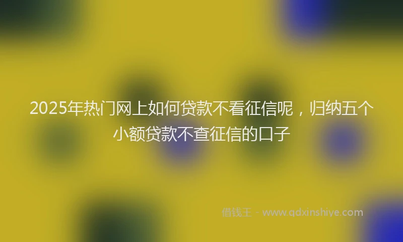2025年热门网上如何贷款不看征信呢，归纳五个小额贷款不查征信的口子