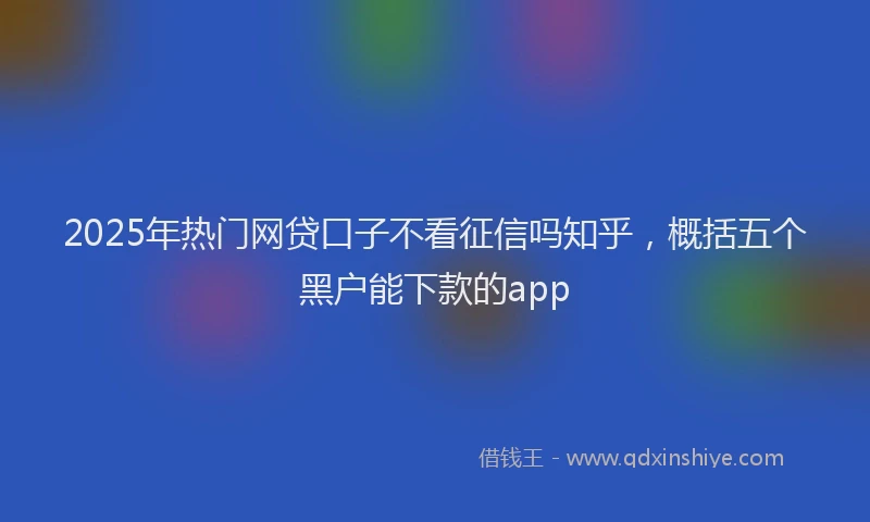 2025年热门网贷口子不看征信吗知乎，概括五个黑户能下款的app