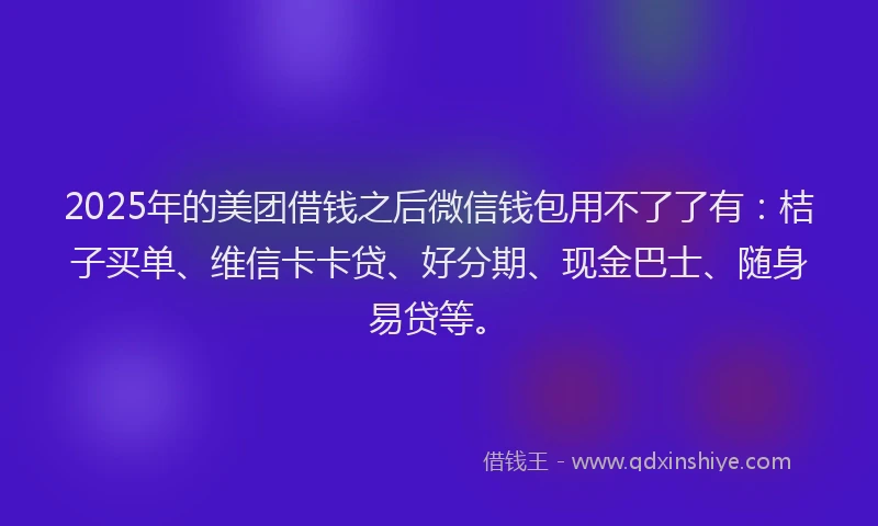 2025年的美团借钱之后微信钱包用不了了有：桔子买单、维信卡卡贷、好分期、现金巴士、随身易贷等。
