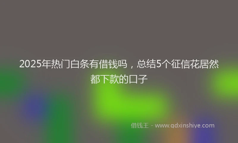 2025年热门白条有借钱吗，总结5个征信花居然都下款的口子