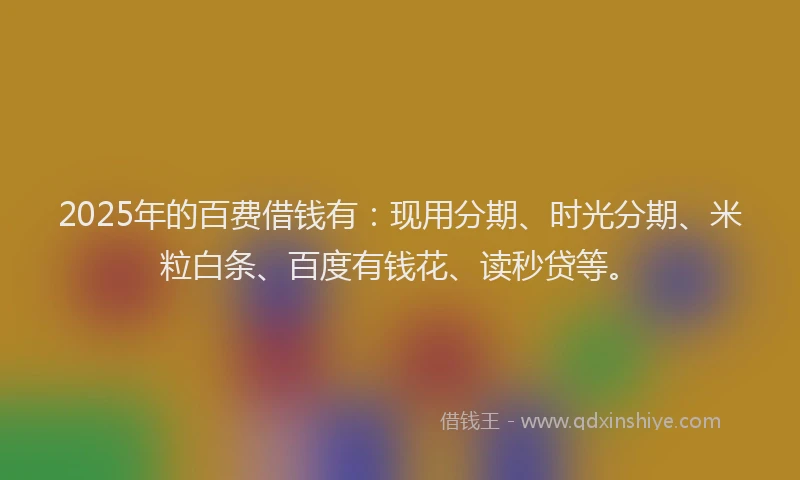 2025年的百费借钱有：现用分期、时光分期、米粒白条、百度有钱花、读秒贷等。