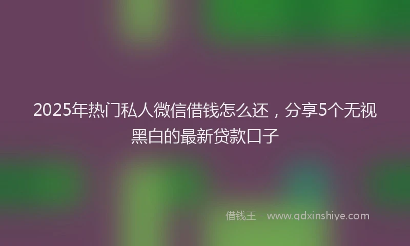 2025年热门私人微信借钱怎么还，分享5个无视黑白的最新贷款口子