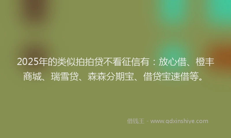 2025年的类似拍拍贷不看征信有：放心借、橙丰商城、瑞雪贷、森森分期宝、借贷宝速借等。