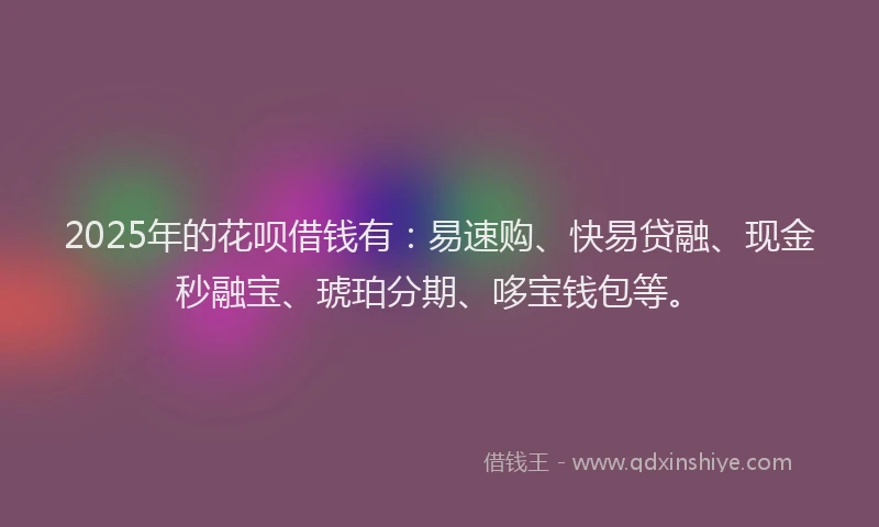 2025年的花呗借钱有：易速购、快易贷融、现金秒融宝、琥珀分期、哆宝钱包等。
