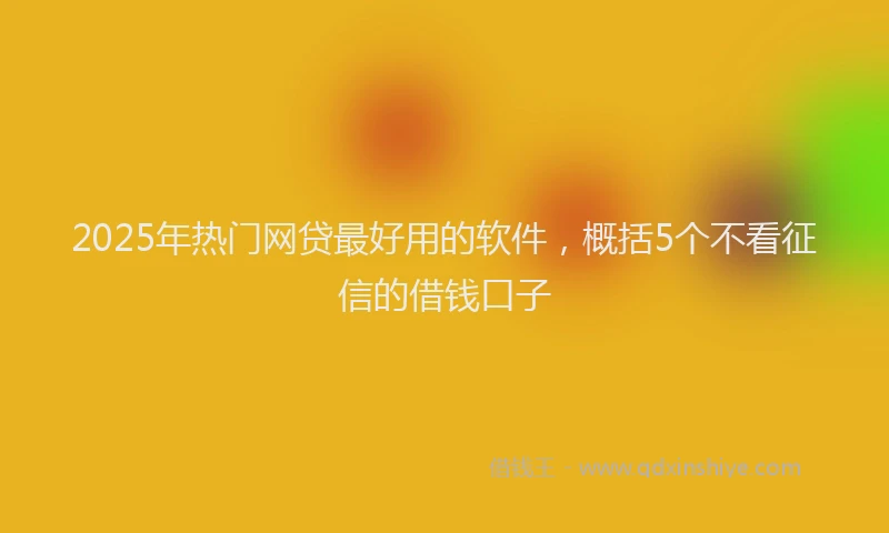 2025年热门网贷最好用的软件，概括5个不看征信的借钱口子