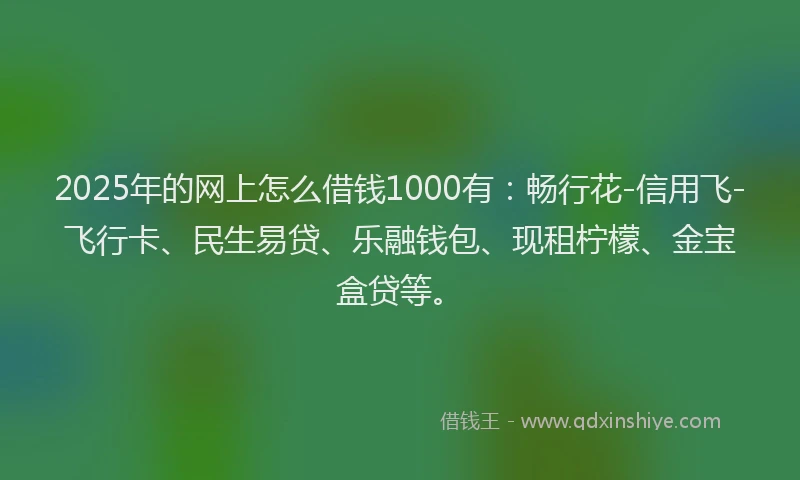 2025年的网上怎么借钱1000有：畅行花-信用飞-飞行卡、民生易贷、乐融钱包、现租柠檬、金宝盒贷等。
