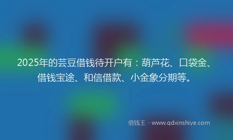 2025年的芸豆借钱待开户有：葫芦花、口袋金、借钱宝途、和信借款、小金象分期等。