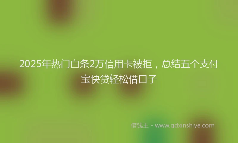 2025年热门白条2万信用卡被拒，总结五个支付宝快贷轻松借口子