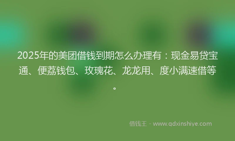 2025年的美团借钱到期怎么办理有：现金易贷宝通、便荔钱包、玫瑰花、龙龙用、度小满速借等。