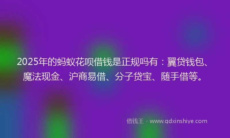 2025年的蚂蚁花呗借钱是正规吗有：翼贷钱包、魔法现金、沪商易借、分子贷宝、随手借等。