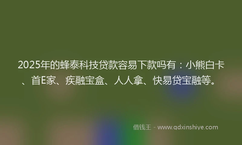 2025年的蜂泰科技贷款容易下款吗有：小熊白卡、首E家、疾融宝盒、人人拿、快易贷宝融等。