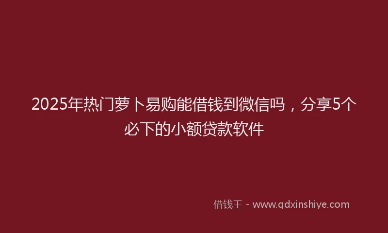 2025年热门萝卜易购能借钱到微信吗，分享5个必下的小额贷款软件