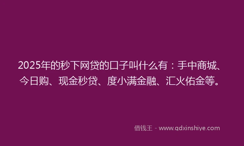 2025年的秒下网贷的口子叫什么有：手中商城、今日购、现金秒贷、度小满金融、汇火佑金等。