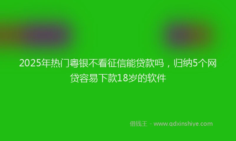 2025年热门粤银不看征信能贷款吗，归纳5个网贷容易下款18岁的软件