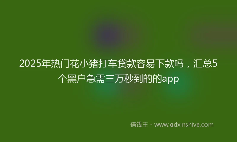 2025年热门花小猪打车贷款容易下款吗，汇总5个黑户急需三万秒到的的app