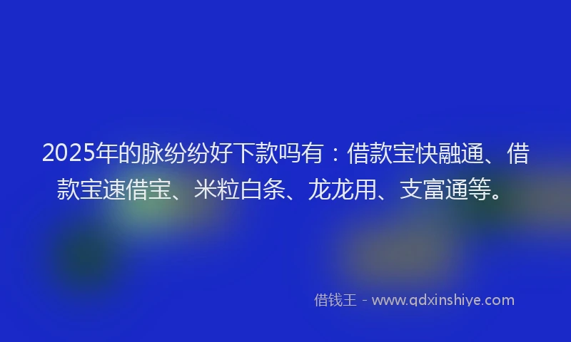 2025年的脉纷纷好下款吗有：借款宝快融通、借款宝速借宝、米粒白条、龙龙用、支富通等。