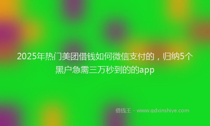 2025年热门美团借钱如何微信支付的，归纳5个黑户急需三万秒到的的app