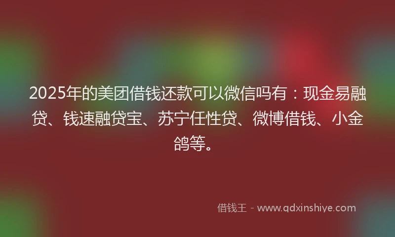 2025年的美团借钱还款可以微信吗有：现金易融贷、钱速融贷宝、苏宁任性贷、微博借钱、小金鸽等。