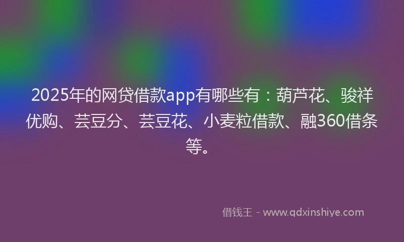 2025年的网贷借款app有哪些有：葫芦花、骏祥优购、芸豆分、芸豆花、小麦粒借款、融360借条等。