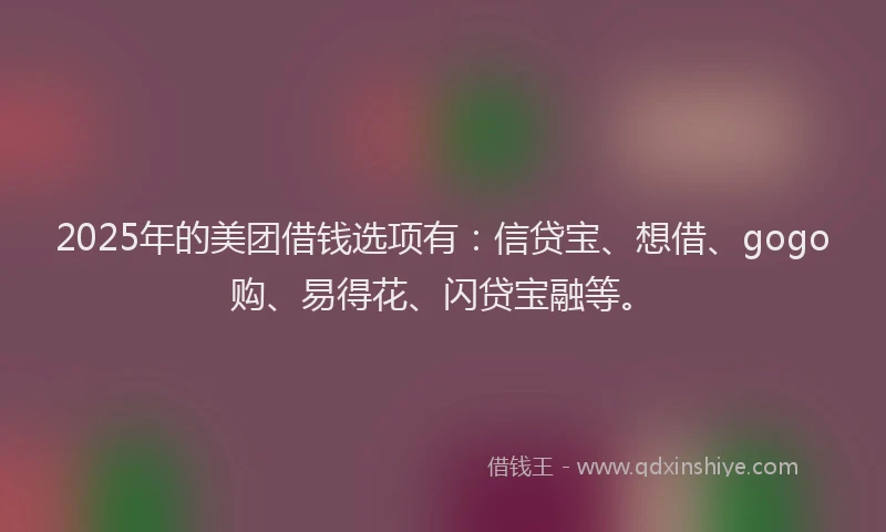 2025年的美团借钱选项有：信贷宝、想借、gogo购、易得花、闪贷宝融等。