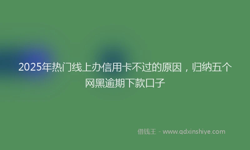 2025年热门线上办信用卡不过的原因，归纳五个网黑逾期下款口子