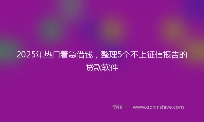 2025年热门着急借钱，整理5个不上征信报告的贷款软件